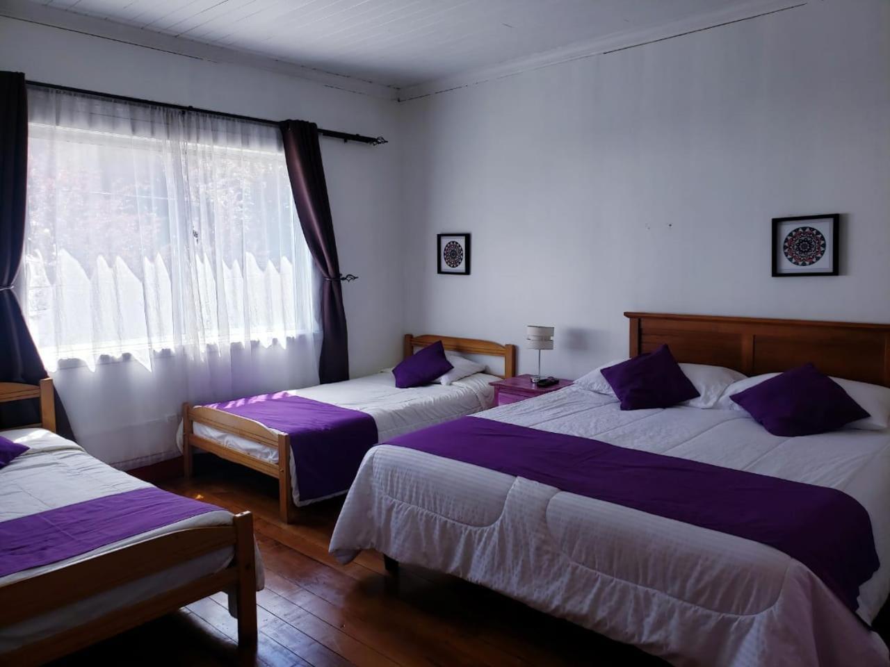 Hostal Arrayan Valdivia Buitenkant foto