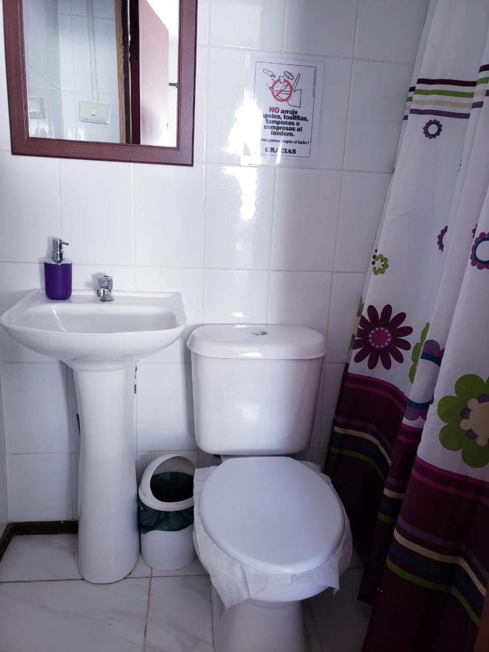 Hostal Arrayan Valdivia Buitenkant foto