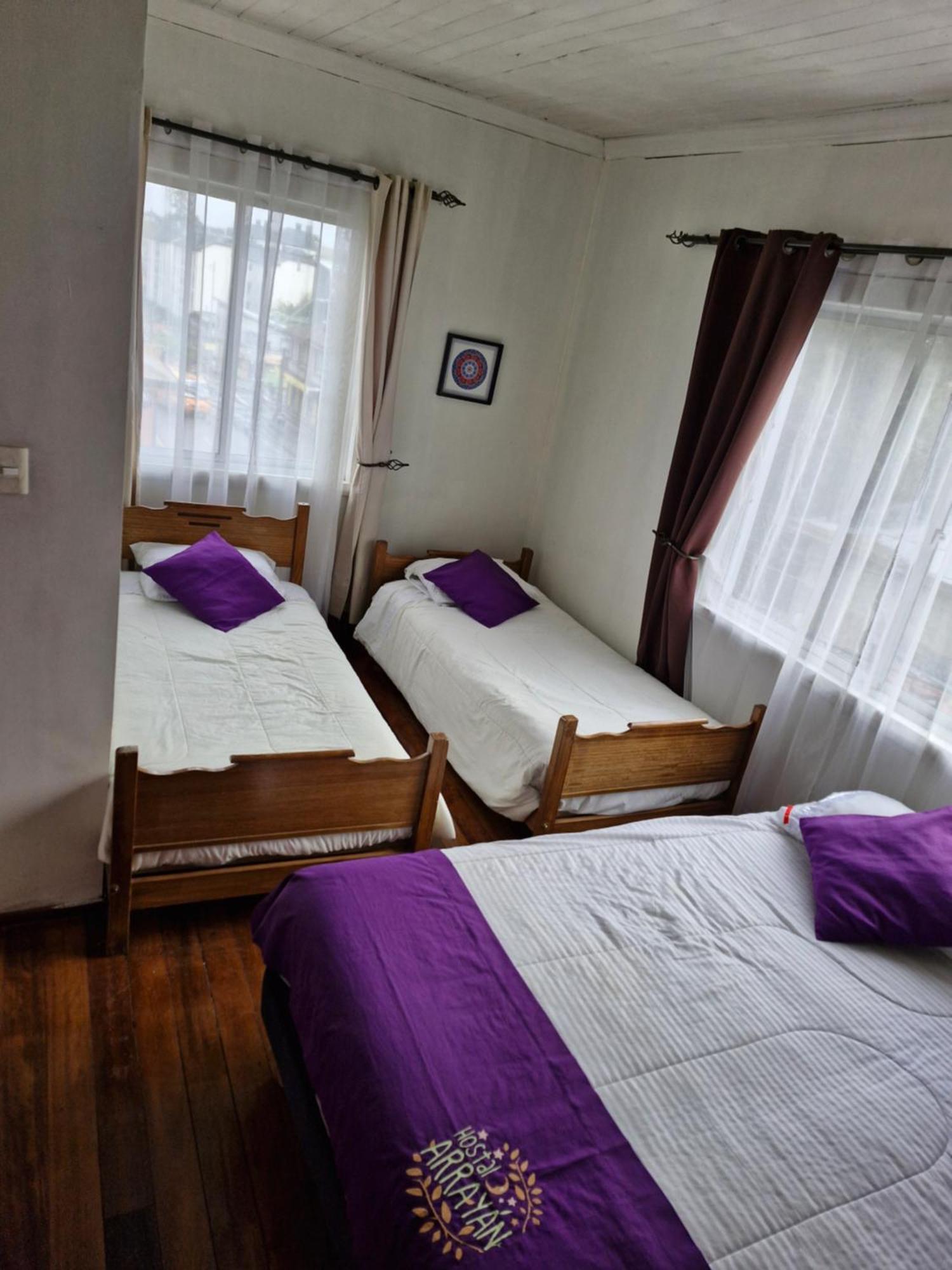 Hostal Arrayan Valdivia Buitenkant foto