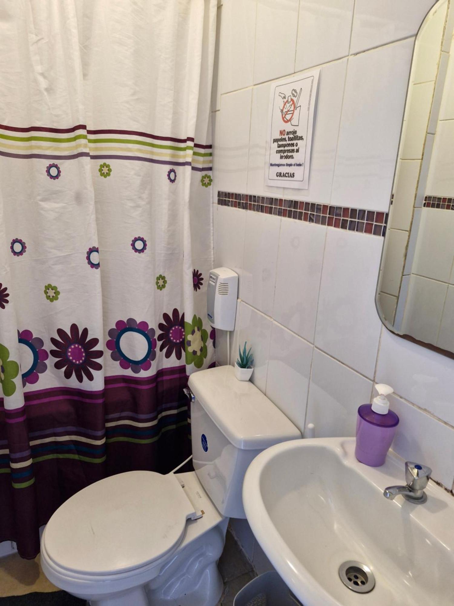 Hostal Arrayan Valdivia Buitenkant foto