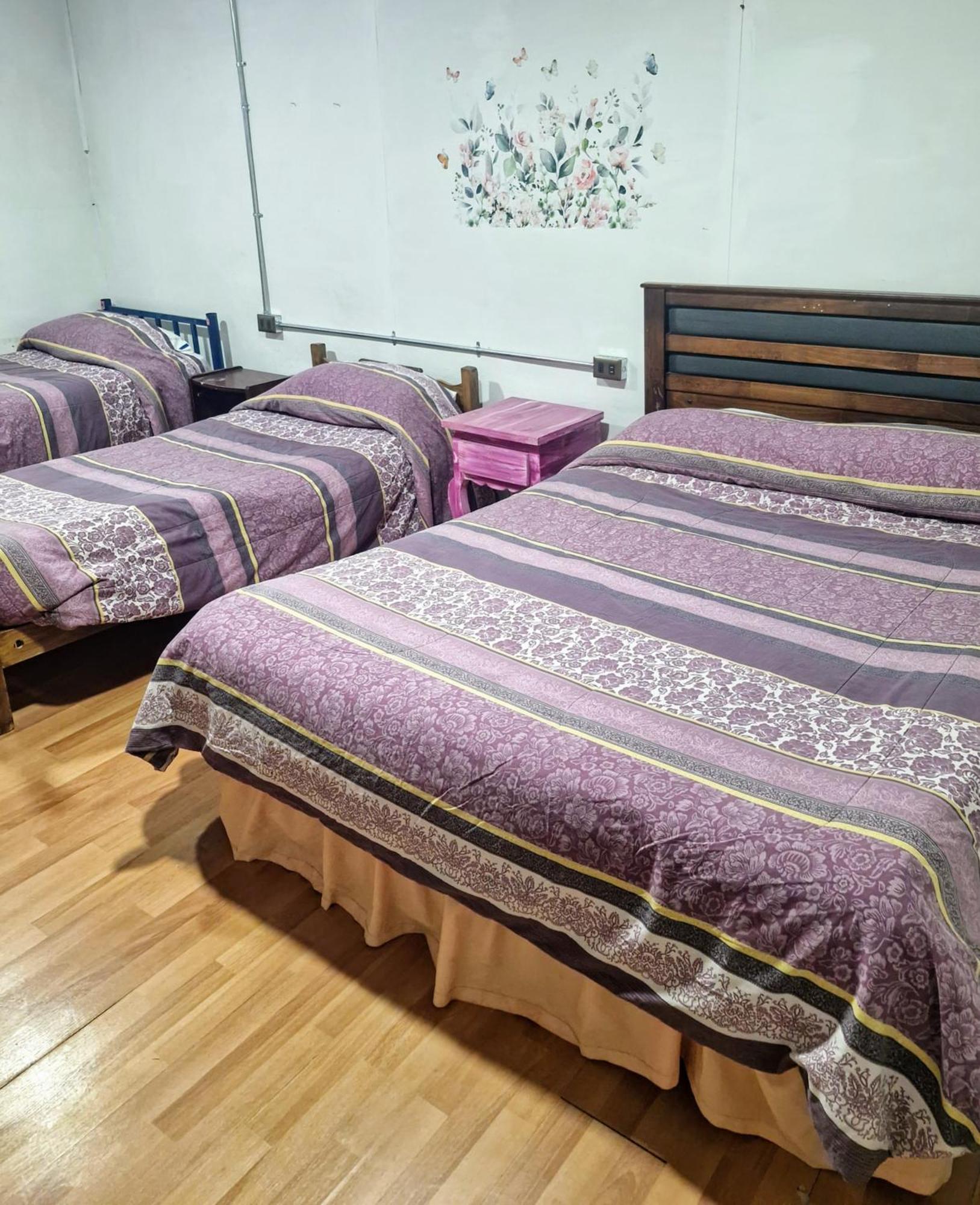 Hostal Arrayan Valdivia Buitenkant foto